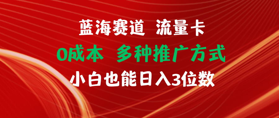 蓝海赛道 流量卡 0成本 小白也能日入三位数-网亿资源平台