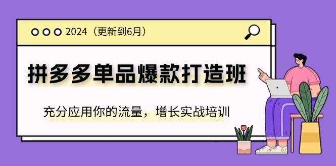 2024拼多多-单品爆款打造班(更新6月)，充分应用你的流量，增长实战培训-网亿资源平台