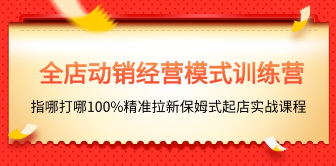 全店动销-经营模式训练营，指哪打哪100%精准拉新保姆式起店实战课程-网亿资源平台
