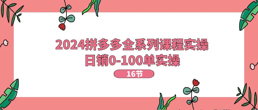 2024拼多多全系列课程实操，日销0-100单实操-网亿资源平台