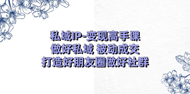 私域IP-变现高手课：做好私域 被动成交，打造好朋友圈做好社群-网亿资源平台