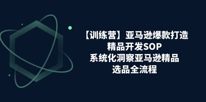 亚马逊爆款打造之精品开发SOP，系统化洞察亚马逊精品选品全流程-网亿资源平台