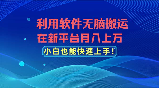 利用软件无脑搬运，在新平台月入上万-网亿资源平台