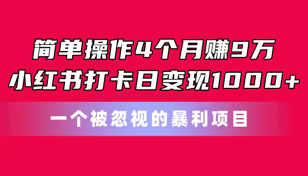 简单操作4个月赚9万！小红书打卡日变现1000+-网亿资源平台