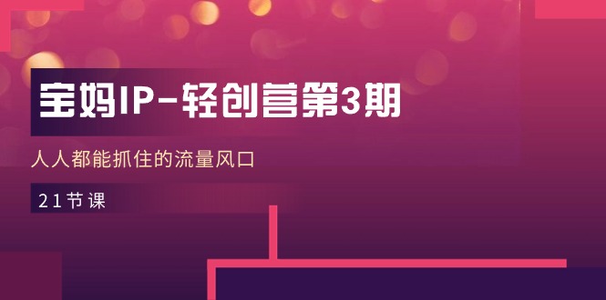 宝妈IP-轻创营第3期，人人都能抓住的流量风口（21节课）-网亿资源平台