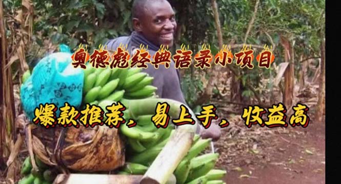 奥德彪经典语录小项目，爆款推荐，易上手，收益高-网亿资源平台