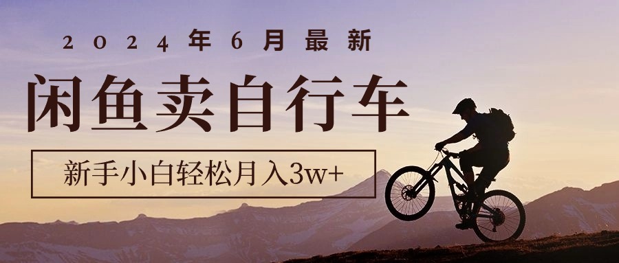 最新闲鱼卖自行车，新手小白轻松月入3w+项目-网亿资源平台