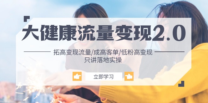 大健康 流量 变现2.0：拓高变现 流量/成高客单/低粉高变现/只讲落地实战-网亿资源平台
