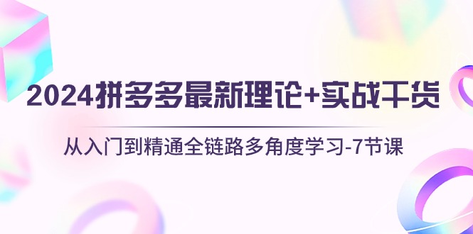 2024拼多多 最新理论+实战干货，从入门到精通全链路多角度学习-7节课-网亿资源平台