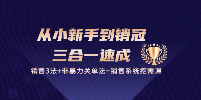 从小新手到销冠 三合一速成：销售3法+非暴力关单法+销售系统挖需课-网亿资源平台