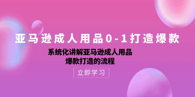 亚马逊成人用品0-1打造爆款：系统化讲解亚马逊成人用品爆款打造的流程-网亿资源平台