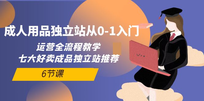 成人用品独立站从0-1入门，运营全流程教学，七大好卖成品独立站推荐-6节课-网亿资源平台