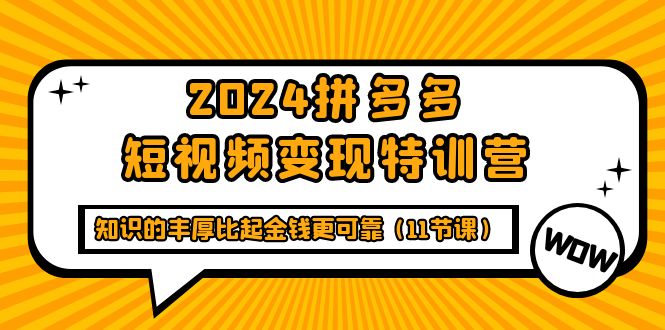 2024拼多多短视频变现特训营，知识的丰厚比起金钱更可靠-网亿资源平台