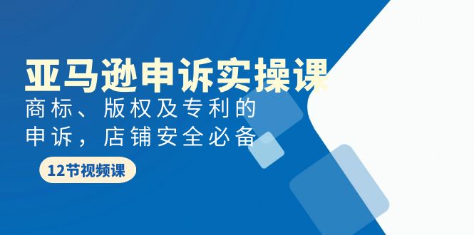 亚马逊-申诉实战课，商标、版权及专利的申诉，店铺安全必备-网亿资源平台