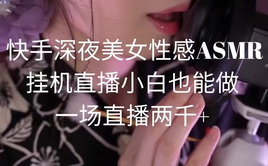 快手深夜美女助眠ASMR直播，小白也能做-网亿资源平台
