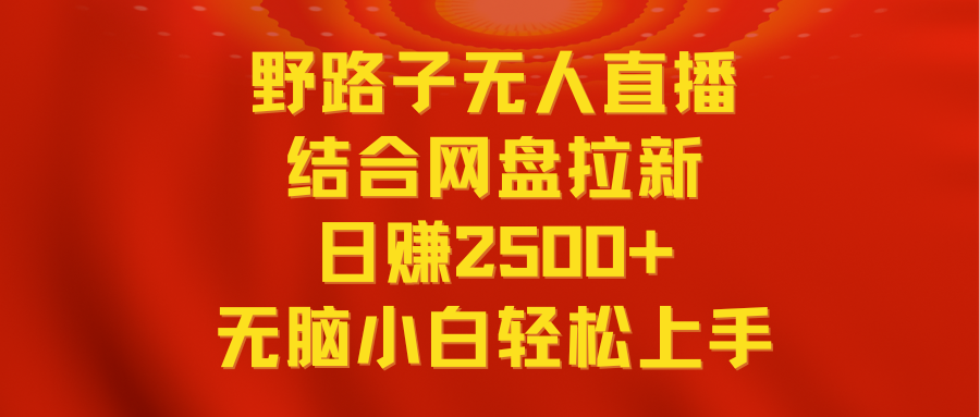 无人直播野路子结合网盘拉新，日赚2500+多平台变现，小白无脑轻松上手操作-网亿资源平台