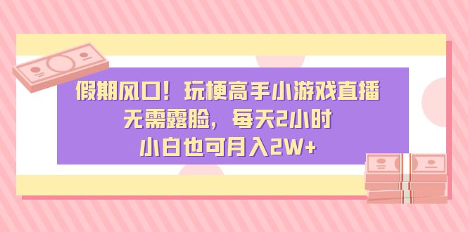 假期风口！玩梗高手小游戏直播，无需露脸，每天2小时-网亿资源平台