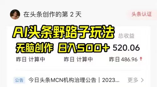 今日头条中视频懒人玩法，不配音，日入五百➕-网亿资源平台