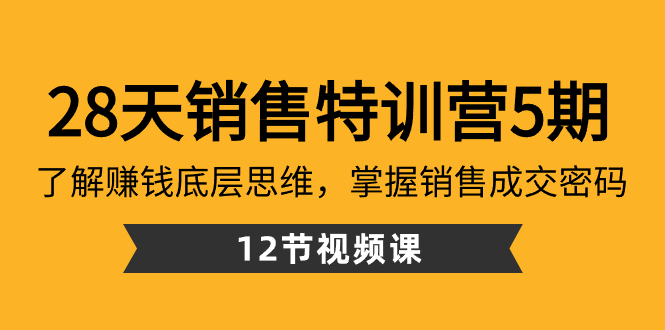 28天·销售特训营5期：了解赚钱底层思维，掌握销售成交密码（12节课）-网亿资源平台