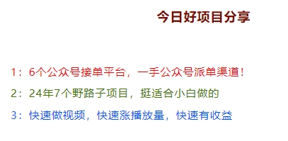 24年7个野路子项目，专给小白准备的-网亿资源平台