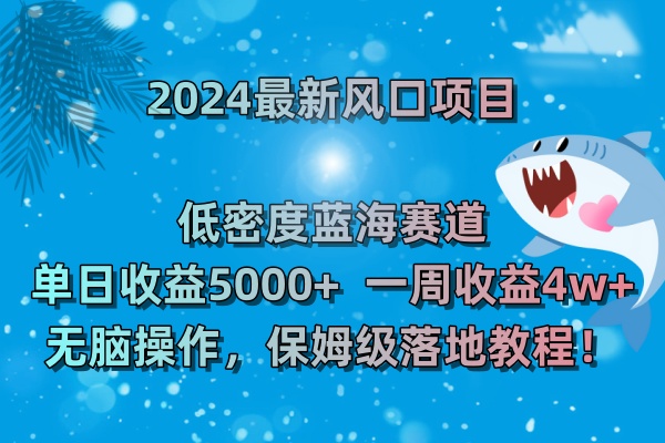 2024最新风口项目 低密度蓝海赛道，日收益5000+周收益4w+ 无脑操作-网亿资源平台