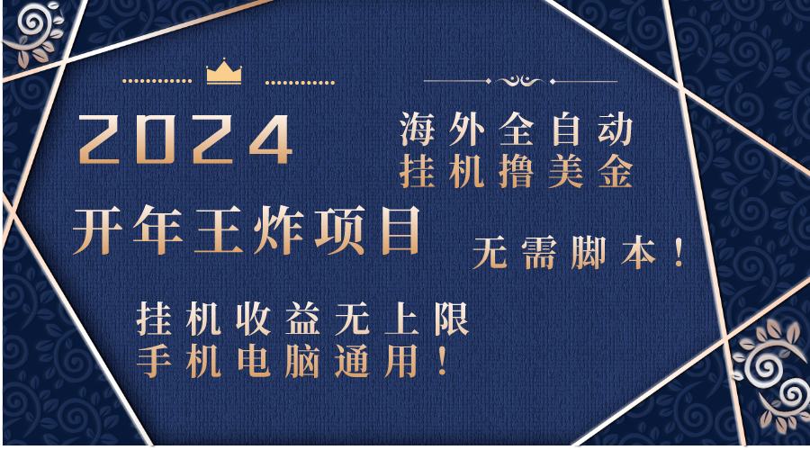 2024海外撸美金项目！手机电脑均可-网亿资源平台
