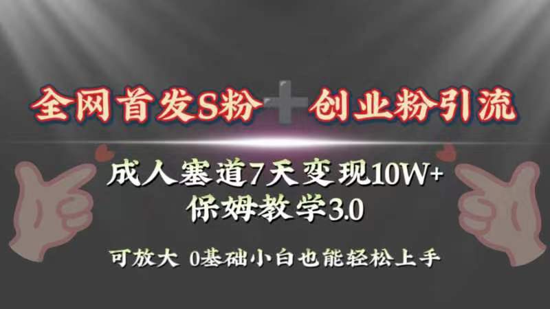 成人用品赛道7天变现10w+保姆教学3.0-网亿资源平台