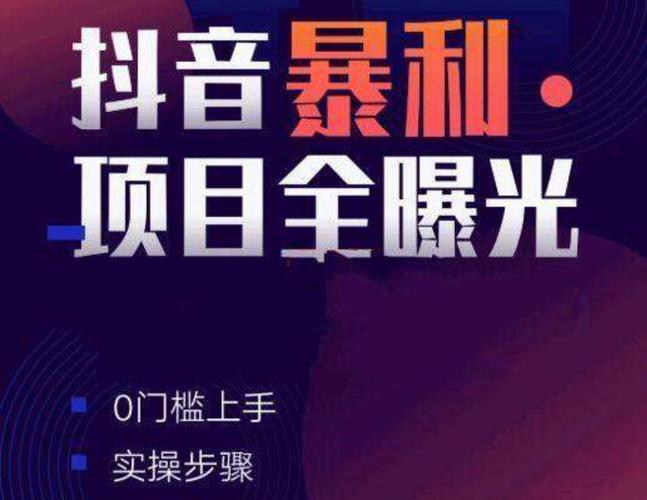 抖音小项目，每天几乎不投入时间也能赚-网亿资源平台