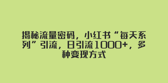 揭秘流量密码，小红书“每天系列”引流，日引流1000+，多种变现方式-网亿资源平台