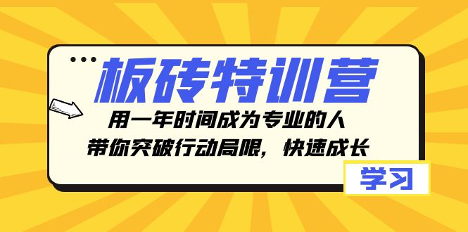 板砖特训营，用一年时间成为专业的人，带你突破行动局限，快速成长-网亿资源平台
