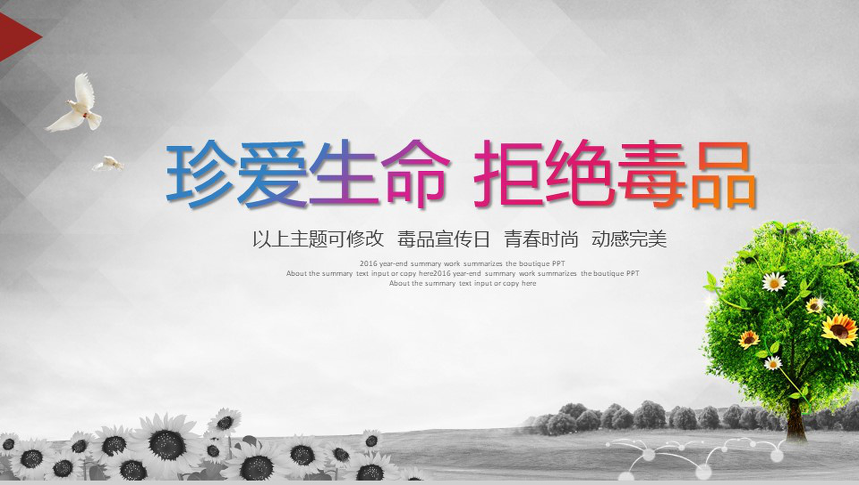 灰色青春时尚禁毒宣传日禁毒教育PPT模板-网亿资源平台