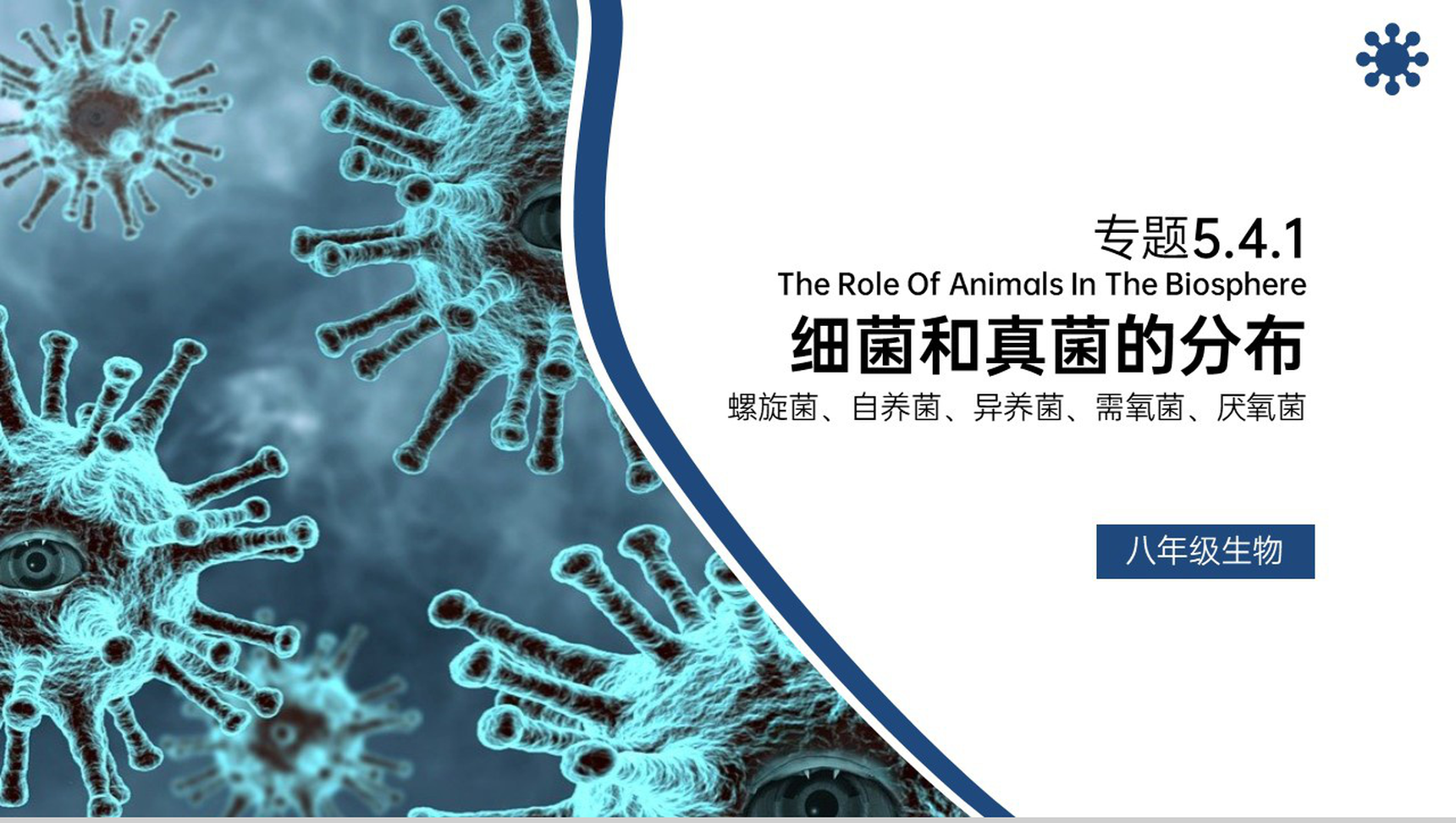 《细菌和真菌的分布》八年级初二上册PPT课件（第5.4.1课时）-网亿资源平台