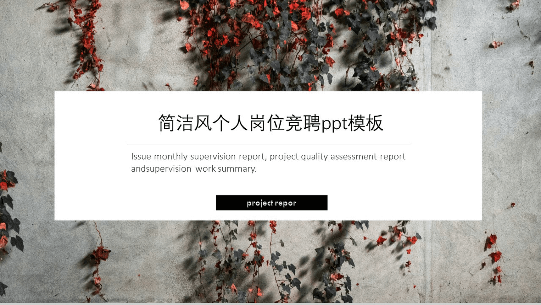 简洁风商务大气个人岗位竞聘简历PPT模板-网亿资源平台