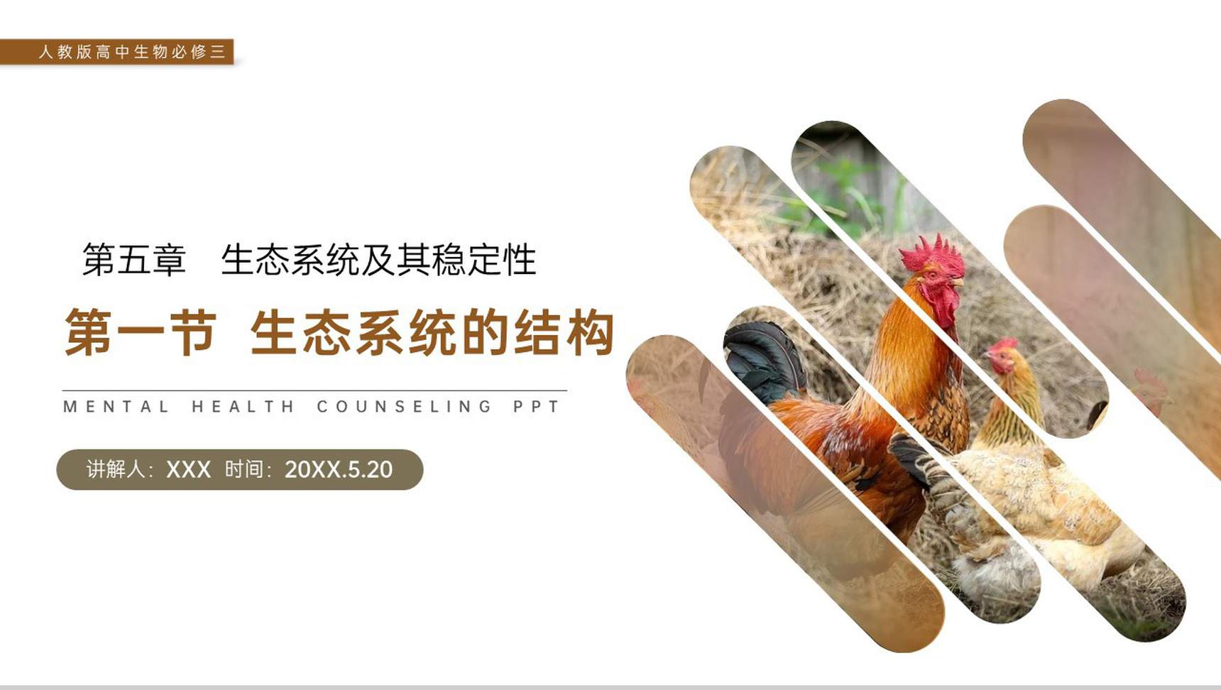 《生态系统的结构》人教版高二生物必修三PPT课件-网亿资源平台
