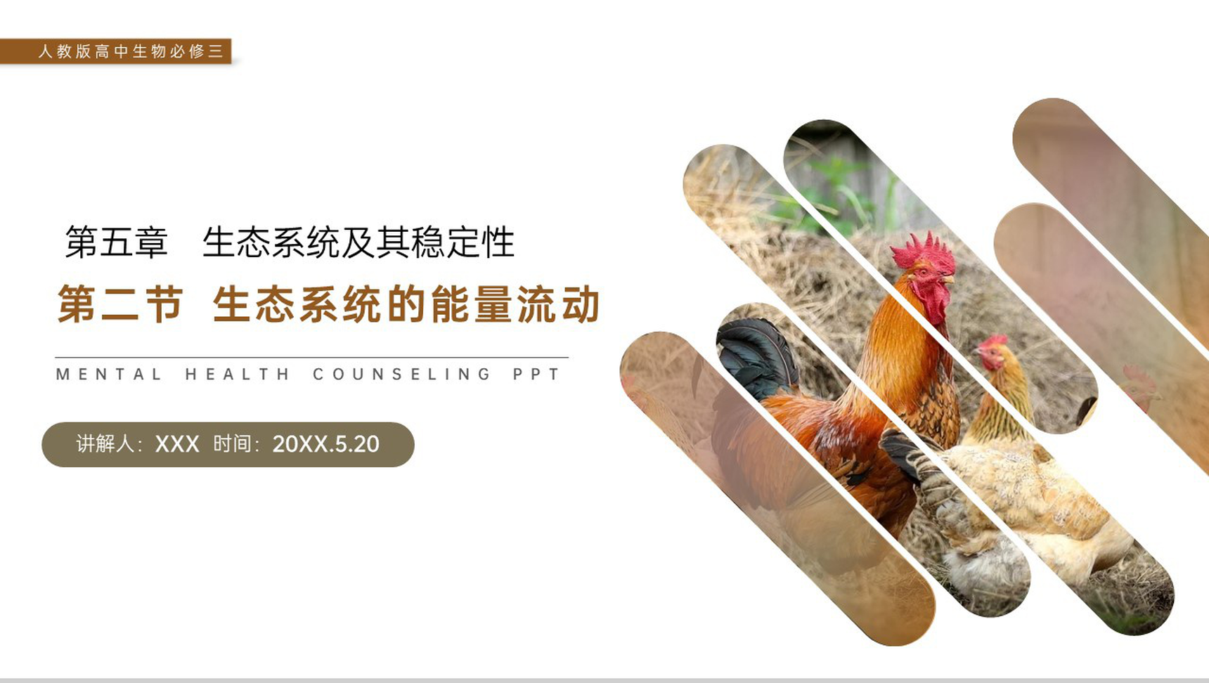 《生态系统的能量流动》人教版高二生物必修三PPT课件-网亿资源平台