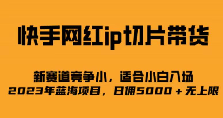 快手网红ip切片新赛道，竞争小事，适合小白 2023蓝海项目-网亿资源平台
