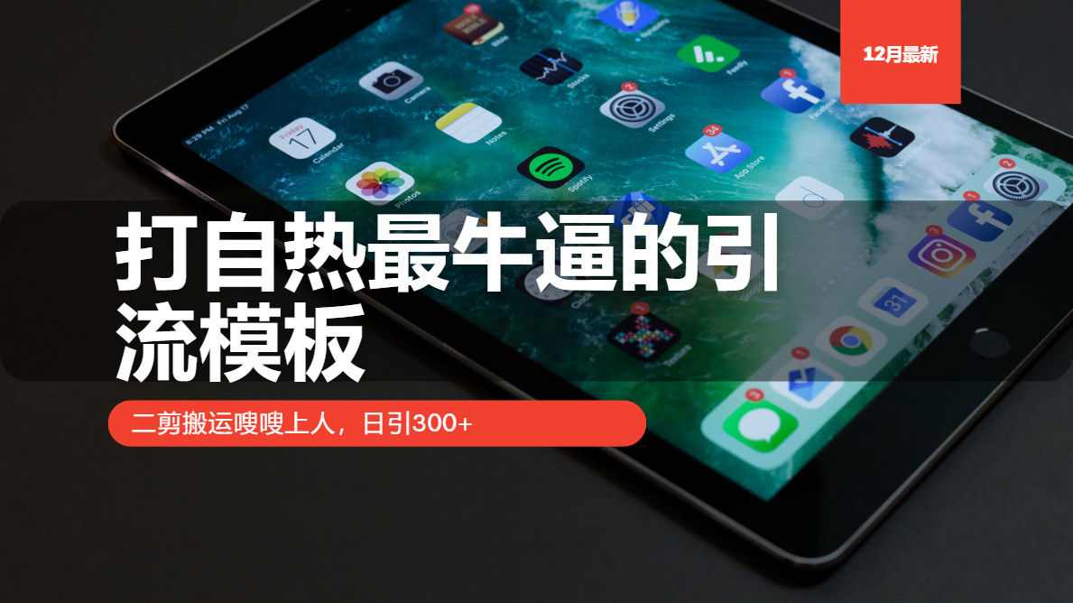 打自热最牛逼的引流模板，日引300+，二剪搬运嗖嗖上人-网亿资源平台