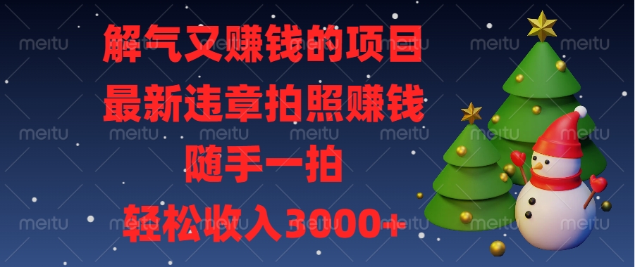 最新违章拍照赚钱，随手一拍，解气又赚钱的项目，轻松收入3000+-网亿资源平台