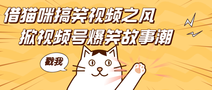 借猫咪搞笑视频之风，掀视频号爆笑故事潮，轻松日赚四位数，开启无门槛赚钱新体验！-网亿资源平台