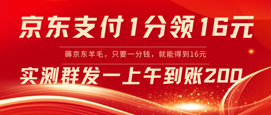 京东支付1分得16元实操到账200-网亿资源平台