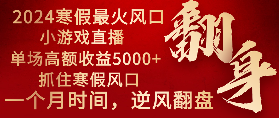 2024年最火寒假风口项目 小游戏直播 单场收益5000+抓住风口 一个月直接提车-网亿资源平台