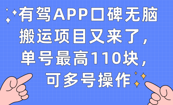 有驾APP口碑无脑搬运项目又来了，单号最高110块，可多号操作-网亿资源平台