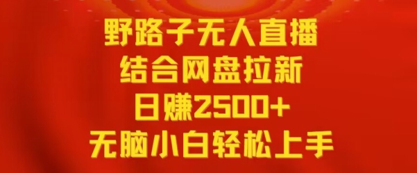 野路子无人直播结合网盘拉新，日赚2500+，小白无脑轻松上手-网亿资源平台