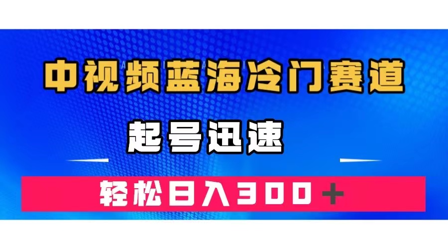 中视频蓝海冷门赛道，韩国视频奇闻解说，起号迅速，日入300＋-网亿资源平台