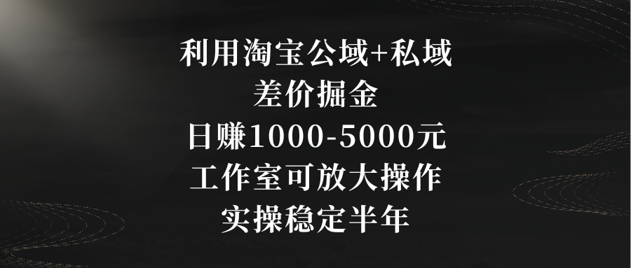 利用淘宝公域+私域差价掘金，日赚1000-5000元，工作室可放大操作，实操…-网亿资源平台