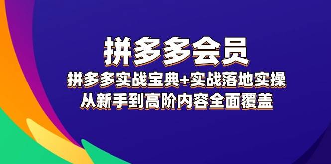 拼多多 会员，拼多多实战宝典+实战落地实操，从新手到高阶内容全面覆盖-网亿资源平台