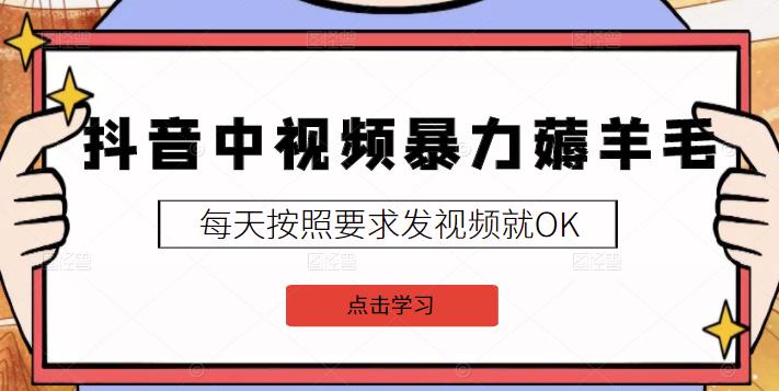 2022抖音中视频暴力薅羊毛白嫖项目：新号每天20块，老号几天几百块，可多号￼-网亿资源平台