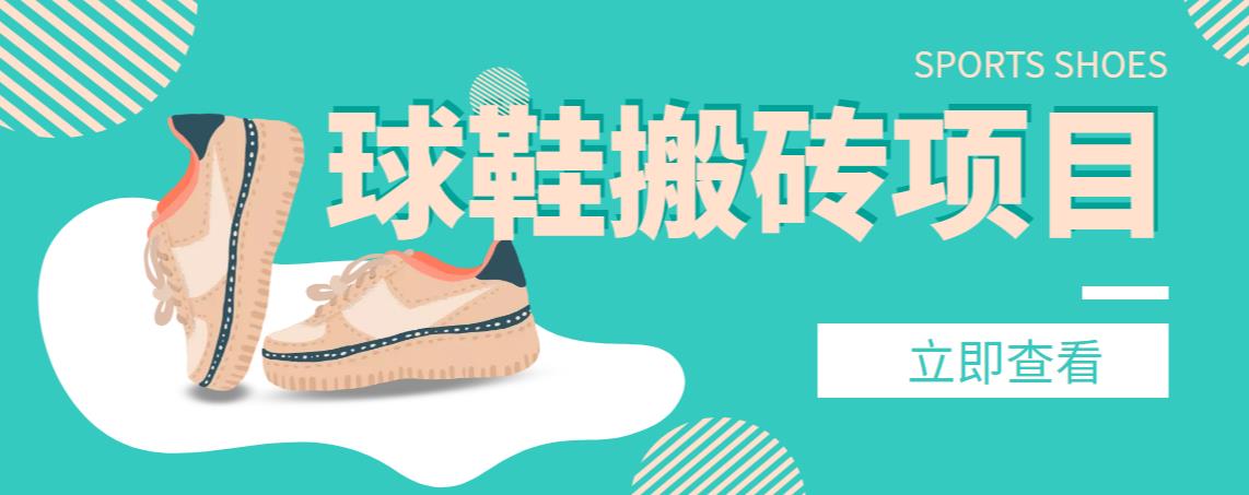 【搬砖必备】外面收费998的球鞋搬砖项目，月入轻松5000+的项目案例解析-网亿资源平台