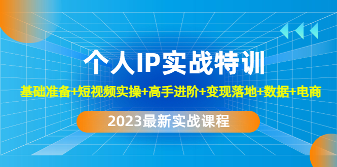 2023个人IP实战特训：基础准备+短视频实操+高手进阶+变现落地+数据+电商-网亿资源平台
