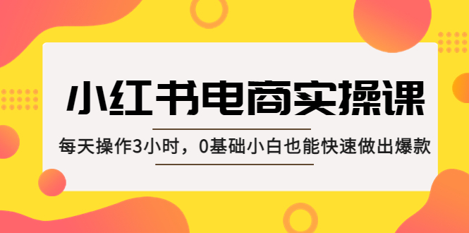 小红书·电商实操课：每天操作3小时，0基础小白也能快速做出爆款！-网亿资源平台